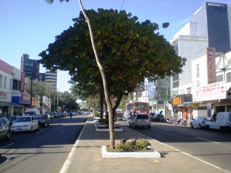 File:Canteiro Theomiro José Branco em 2009 01 Desc.jpg