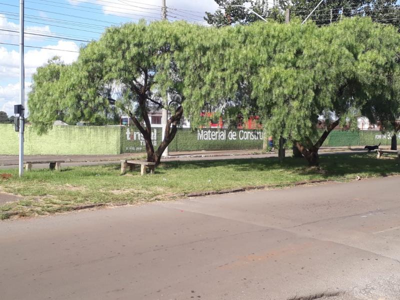 File:Praça Aurélio Cezario Dias em 2019 02 Marcelo Bruel de Aguiar.jpg