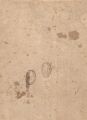 Thumbnail for version as of 19:17, 27 December 2025