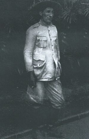 Máximo Bolner Filho.jpg